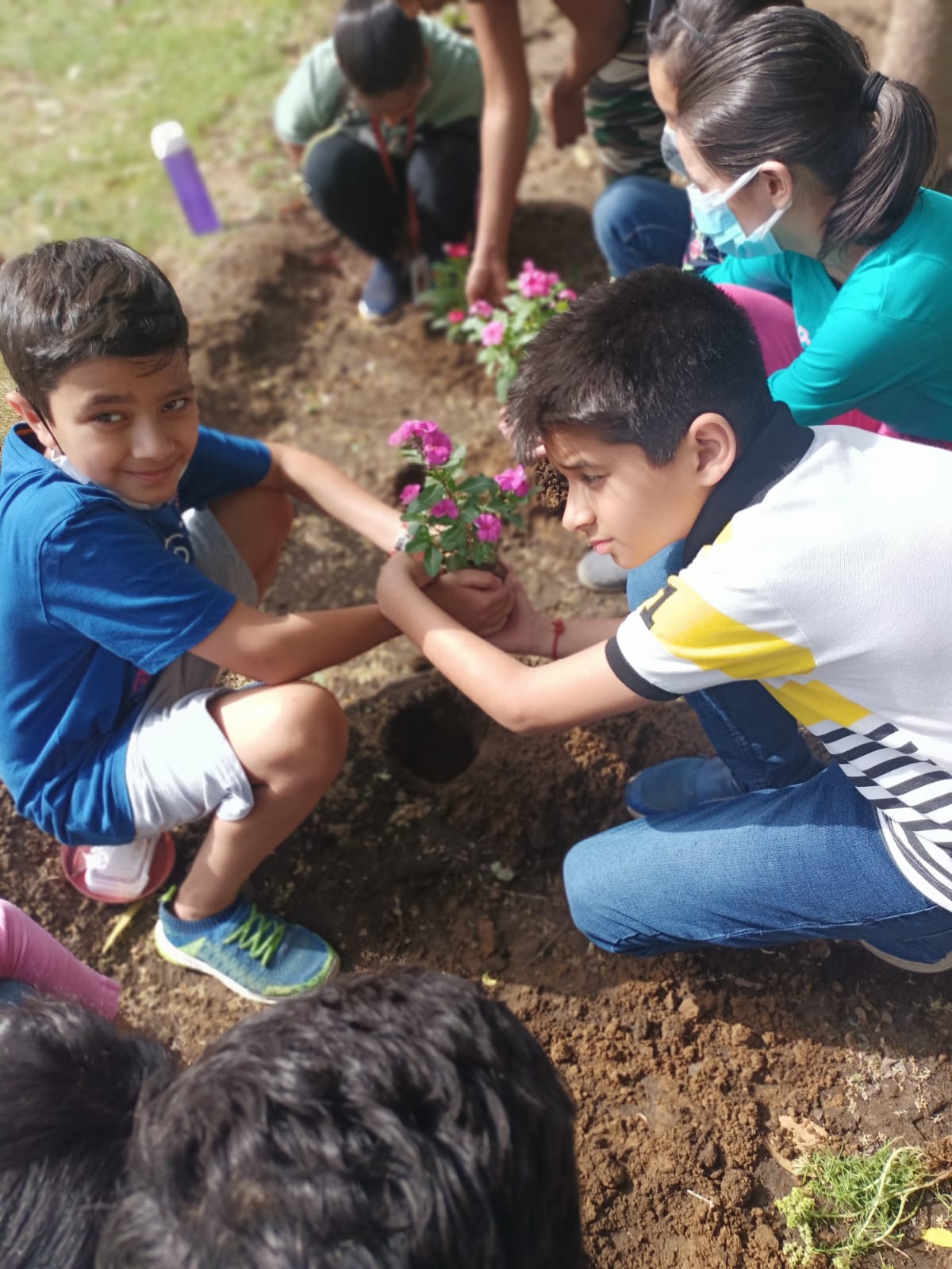 Green Initiatives by Vega Schools